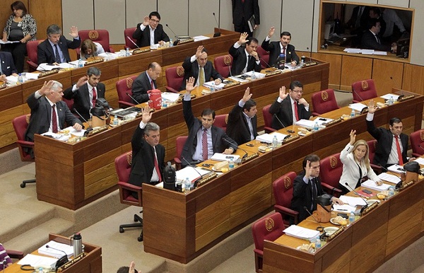 Senado acepta veto de Presidente sobre proyecto "Ñane Energía"