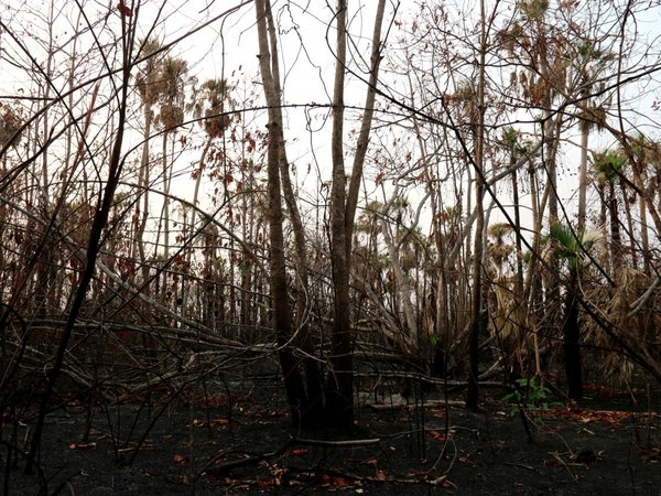 Incendios desplazan a la última comunidad indígena en aislamiento del país