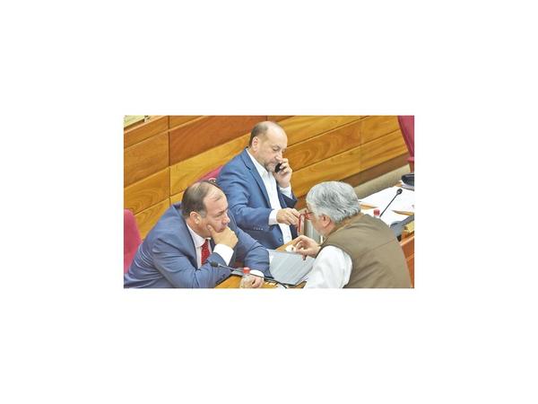 Pulseada en Senado para definir el futuro de Bergen y Villamayor