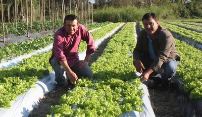 Crédito Agrícola se destaca en recuperación  de  préstamos  otorgados a productores  de Ñeembucu