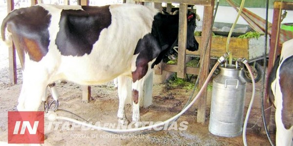 SE AMPLIA CUENCA LECHERA E INVOLUCRA MÁS DISTRITOS DE ITAPÚA