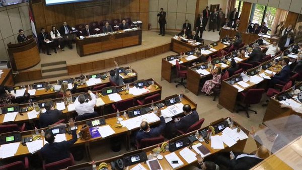 Director general paraguayo de ITAIPU agradece apoyo y confianza de la Cámara de Senadores