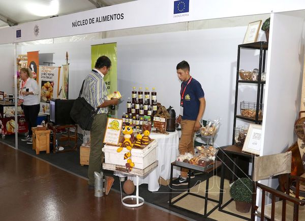 Buscan que las mipymes tengan mayor protagonismo en el país