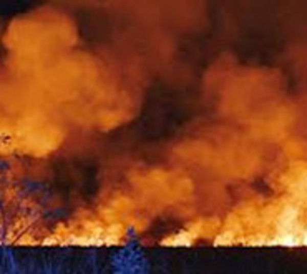 Incendio en humedales del Lago Ypoá - Paraguay.com
