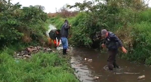 Minga ambiental en San Pedro