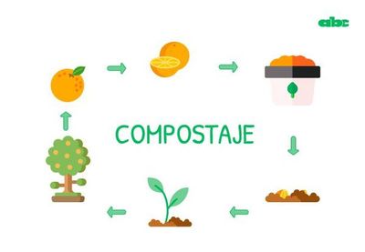 Compostaje: del basurero a la vida - Notas - ABC Color