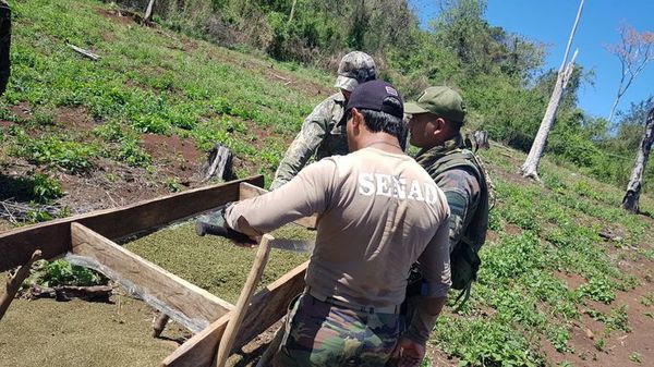 Aseguran que droga incautada en la Argentina ingresa desde Itapúa - Nacionales - ABC Color