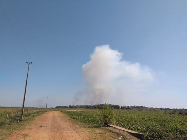 Continúa incendio en humedales del Ypoá, que ya afectó a unas 200 hectáreas - Nacionales - ABC Color