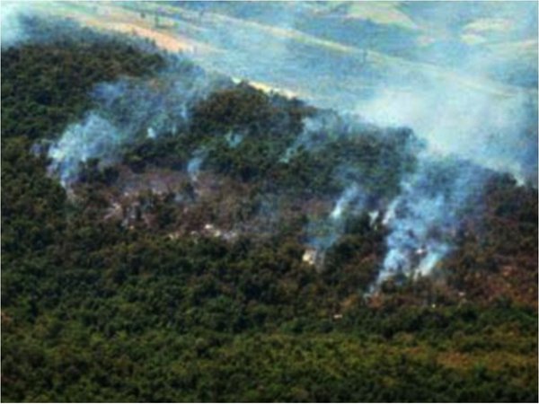 Con avión cisterna combaten voraz incendio forestal en el Ybytyruzú