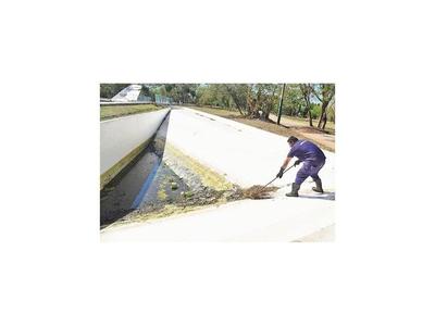 IPS elimina criaderos del Parque Urbano y planea rediseñarlo