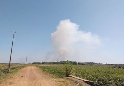 Incendio en el Ypoá afectó unas 200 Ha. - Interior - ABC Color