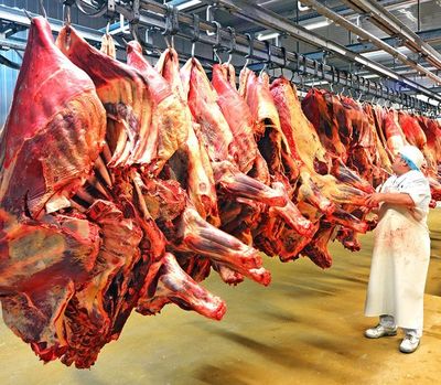 Auditoría es clave para mantener envíos de carne a Unión Europea