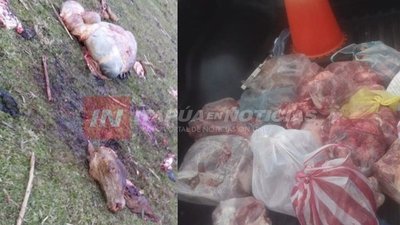 GANADEROS EXIGEN QUE MUNICIPALIDADES CONTROLEN VENTA DE CARNE
