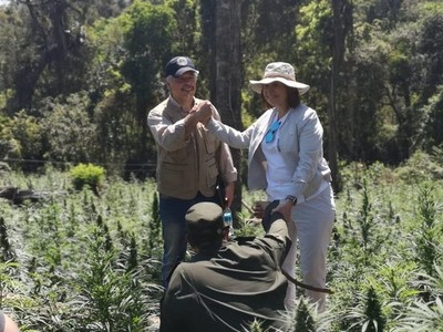 Cooperación trasnacional contra el narcotráfico