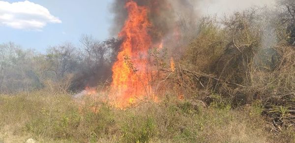 Chaco’i arde debido a la quema de pastizales - Nacionales - ABC Color