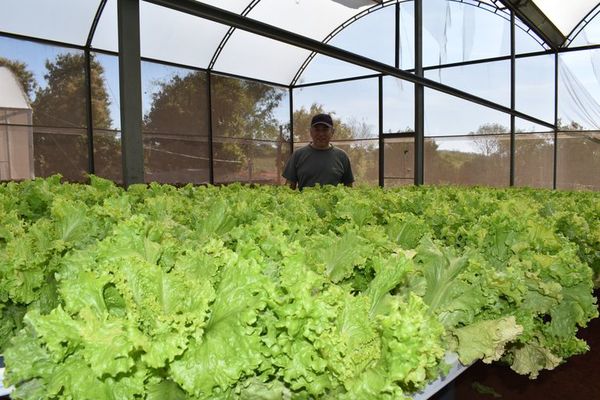 Con creatividad y calidad, productores logran grandes ganancias en ventas - Nacionales - ABC Color
