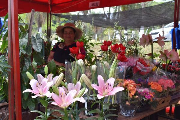 Último día del Yvoty Rape en Caacupé, con precios de liquidación - Nacionales - ABC Color