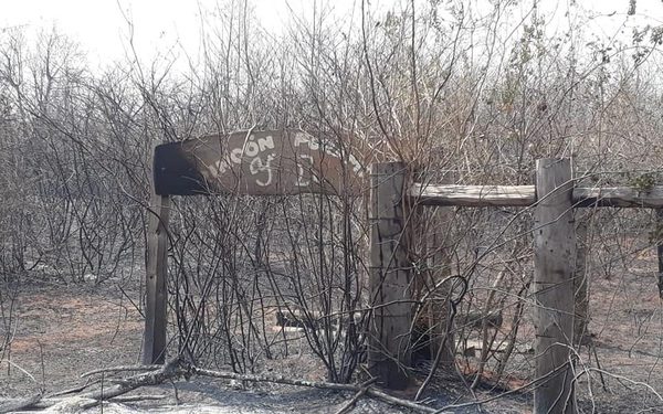 Incendios en el lado boliviano ya consumieron 5.3  millones de hectáreas