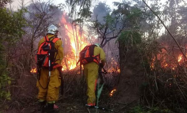 Bomberos de Bolivia pierden esperanza de controlar llamas a medida que crece área quemada