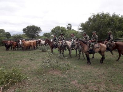 Recuperan animales vacunos robados en estancia del Chaco