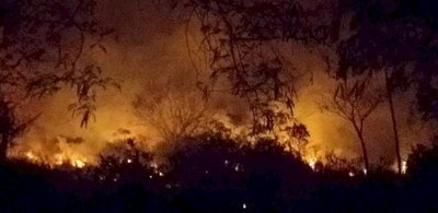 Bomberos evitaron que un gran incendio alcanzara viviendas