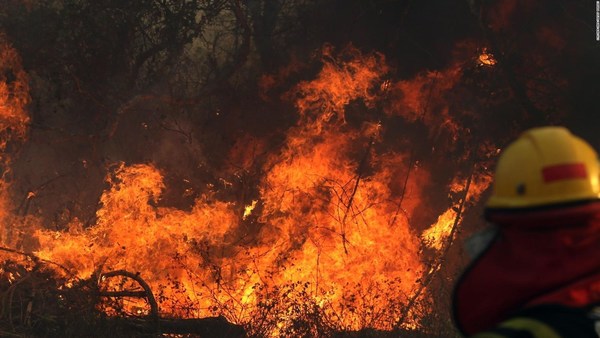 Bolivia: incendios forestales consumieron 5.3 millones de hectáreas - ADN Paraguayo
