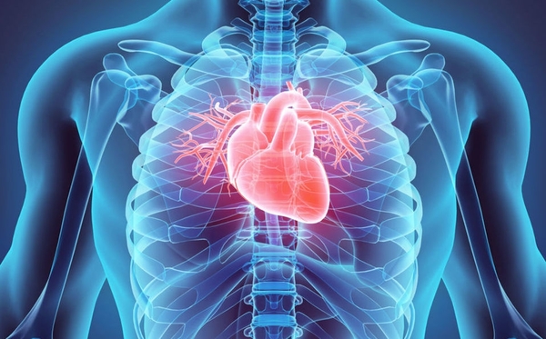 Día Mundial del Corazón: consejos para prevenir enfermedades cardiovasculares » Ñanduti