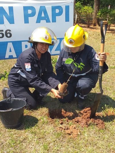 Bomberos fomentan la reforestación - Nacionales - ABC Color