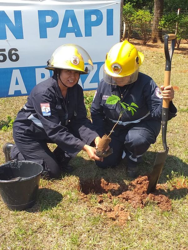 Bomberos fomentan la reforestación - Nacionales - ABC Color