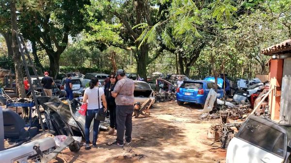 San Antonio: allanan vivienda y encuentran 17 vehículos robados