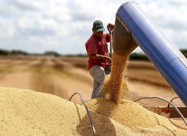 Argentina recibió 70% de la soja