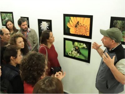 Galerías y espacios de Asunción invitan a un recorrido por el arte