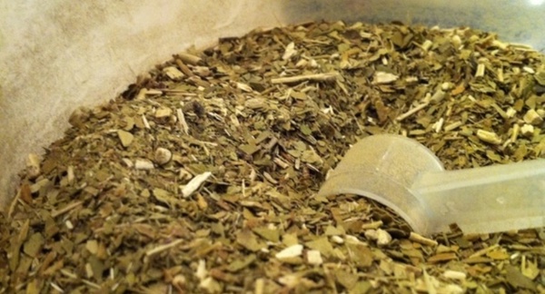 Taiwán proyecta importar yerba mate nacional el próximo año