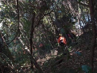 Preocupa avance de incendio en cerro Mbocayaty de La Colmena