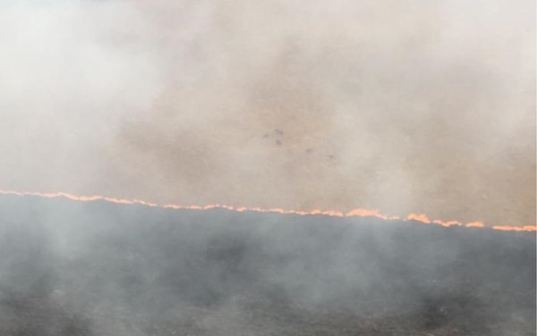 Se incendia uno de los parques nacionales más antiguos de Brasil » Ñanduti