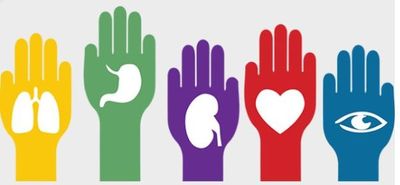 Realizan campaña de concientización sobre donación y trasplante de órganos » Ñanduti