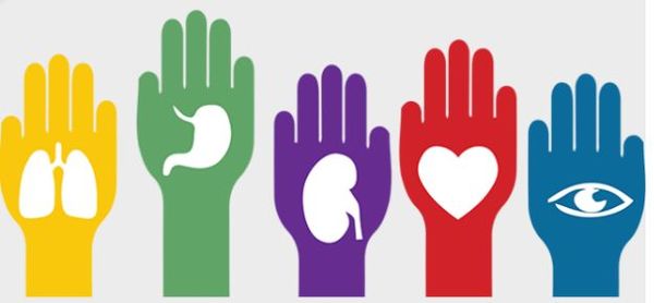 Realizan campaña de concientización sobre donación y trasplante de órganos » Ñanduti