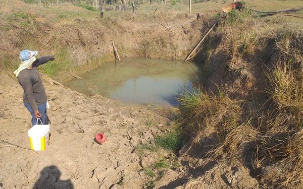 Ruegan retroexcavadora para evitar mayores pérdidas en la producción