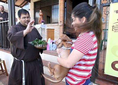 Capuchinos bendecirán mascotas este viernes