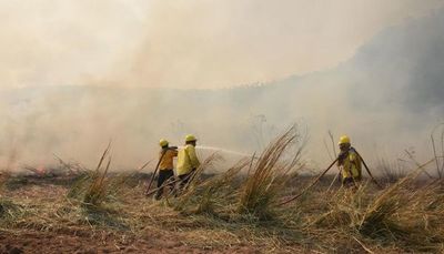 Arde nuevamente el Parque Nacional Caazapá - Nacionales - ABC Color