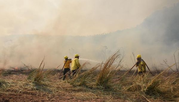Arde nuevamente el Parque Nacional Caazapá - Nacionales - ABC Color