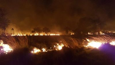 Reportan incendios forestales en varios puntos - Nacionales - ABC Color