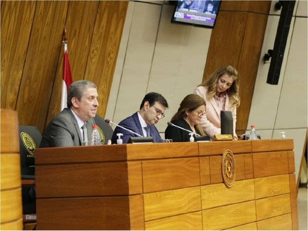 Recortan subsidio a partidos y el TSJE no descarta pedir ampliación