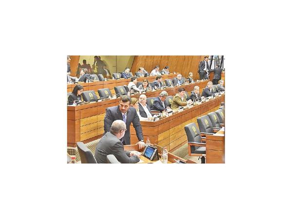 Los diputados tratarán la creación de municipios en Concepción y Canindeyú