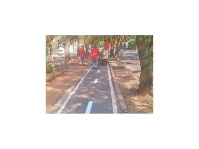 Comuna capitalina señaliza y revitaliza la ciclovía Boggiani