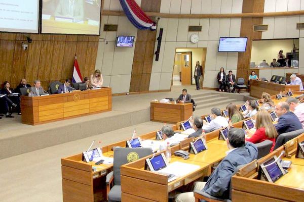 TSJE no prevé G. 53.000 millones en subsidios a partidos políticos