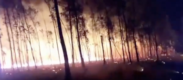 HOY / Varios incendios de pastizales en la madrugada