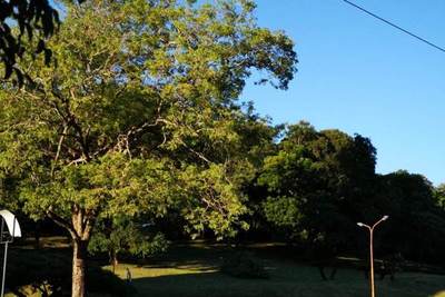Jornada muy calurosa en todo el territorio