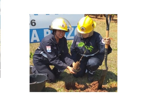 Horqueta: Bomberos fomentan reforestación