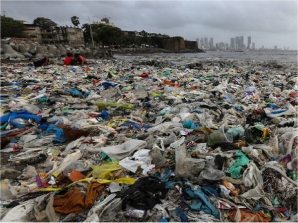 Plásticos arrojados desde buques contaminan la isla Inaccesible
